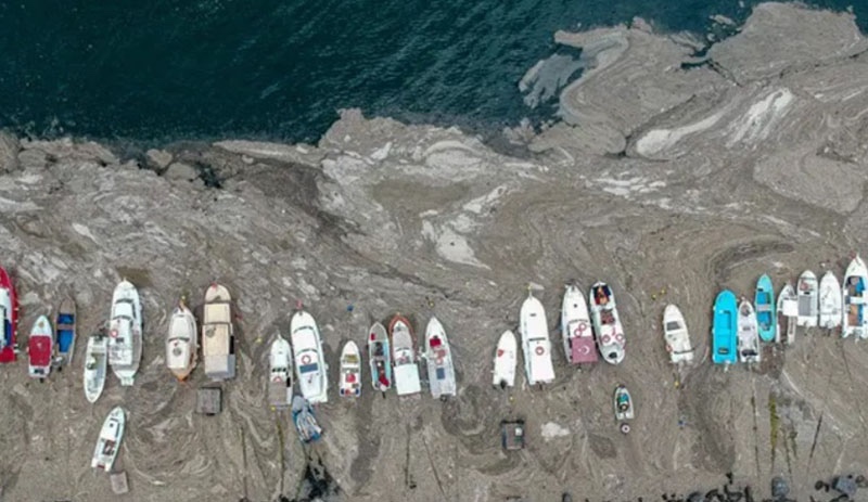 Marmara'da 450 farklı nokta müsilaj incelemesi: Bu seneki manzarayı arayacağız