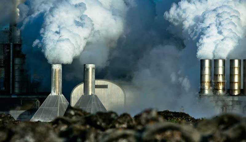 'Tarlalara buğday, arpa yerine JES ekilmiş'