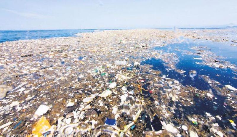 Ekolojik tehlike eşiğini aştı: Denizdeki plastiği yutmayan kalmadı