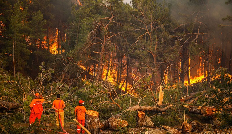 Greenpeace Turkiye De Yanan Alanlarin Uydu Goruntulerini Yayinladi