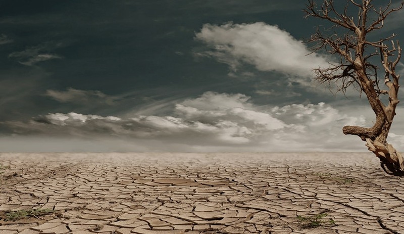 Bilim insanlarından 'iklim değişikliği' uyarısı: Küresel felaket kaçınılmaz hale geldi