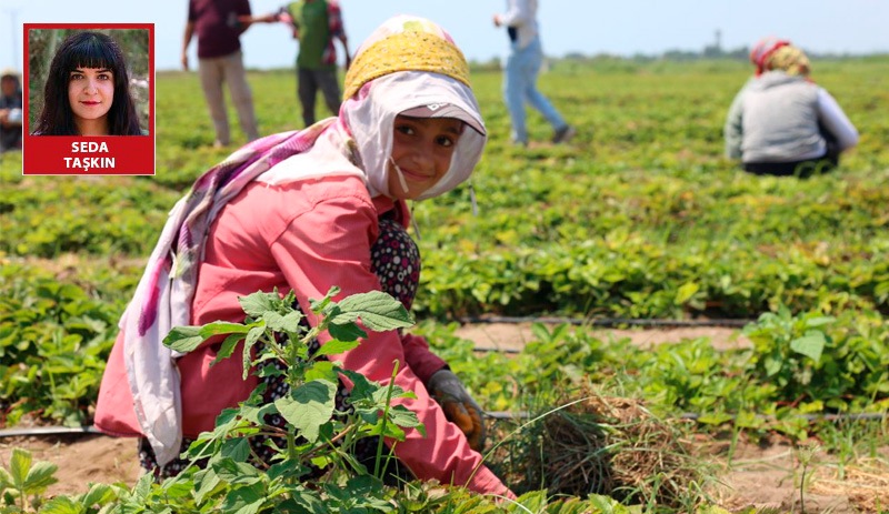 'Denize gidenler araçlarından inip bizi bir ‘mahlukat’ gibi fotoğraflıyor. Biz onlar için insan değiliz'