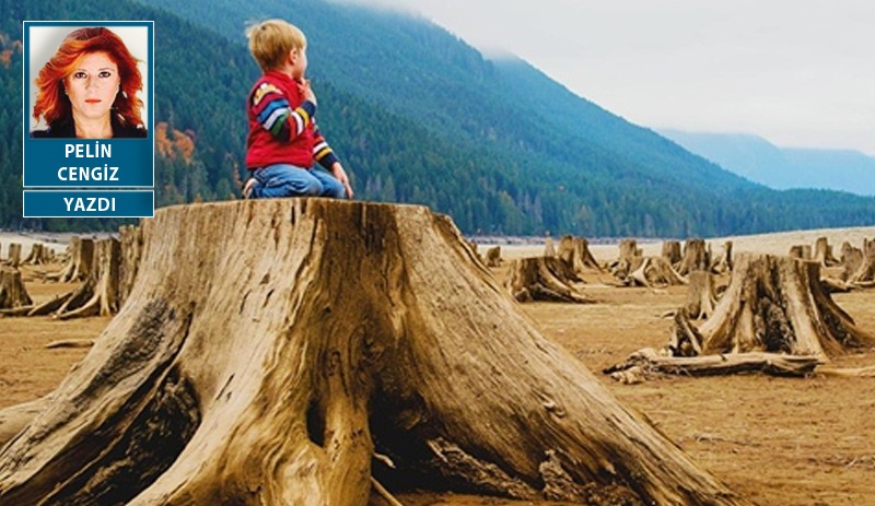 İklim krizine duyarlı ülkelerin borçlanma maliyeti artıyor: Doğa talanını hangi maskeyle kapatacaksınız?