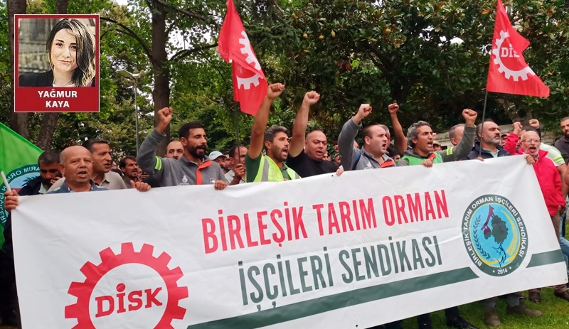 İBB'den ayrımcılık: Sendikalı işçilere eski kadrolu işçilerin yarısı kadar ücret veriliyor