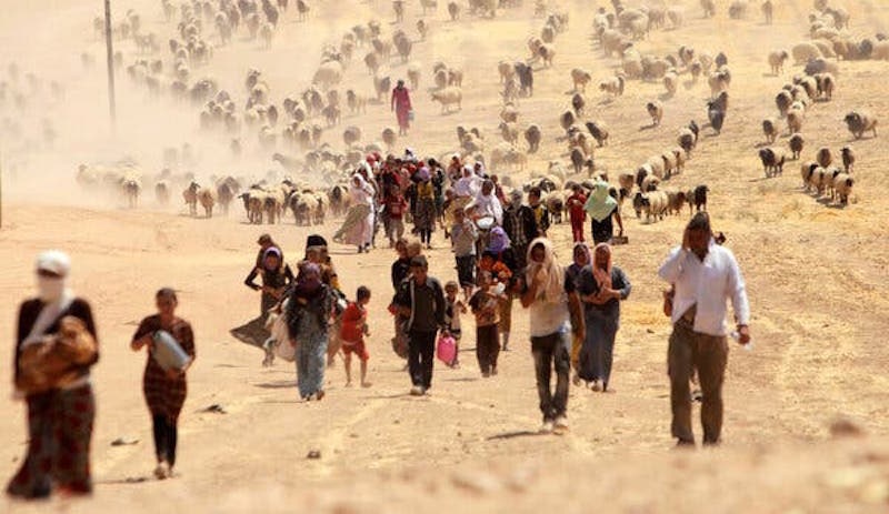 New York Times: 3 bin Ezidi hala kayıp, bir kısmı Türkiye'de esir