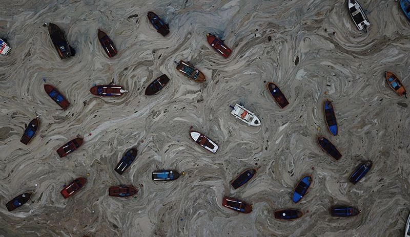 TBMM Araştırma Komisyonu: Müsilaj, yakıt ya da gübre olarak kullanılamaz