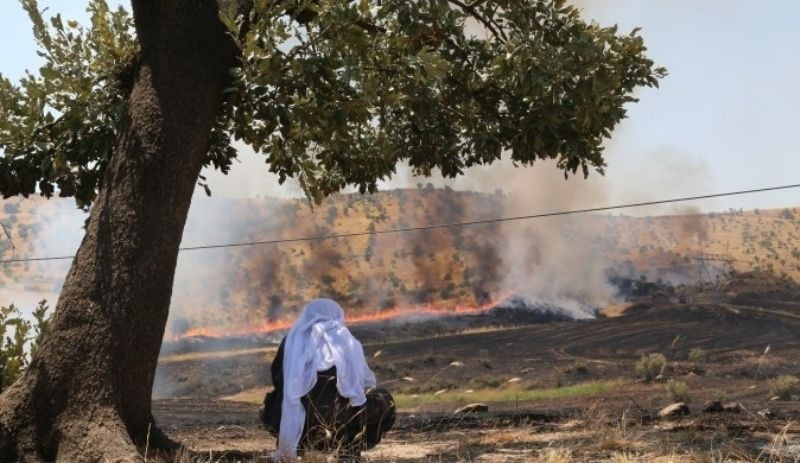 Ekoloji Meclisi: Türkiye'nin her kentine eşit duyarlılık ve ortak mücadele çağrısı