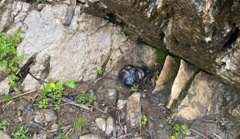 Şırnak'ta doğaya atılan askeri mühimmat tehlike saçıyor