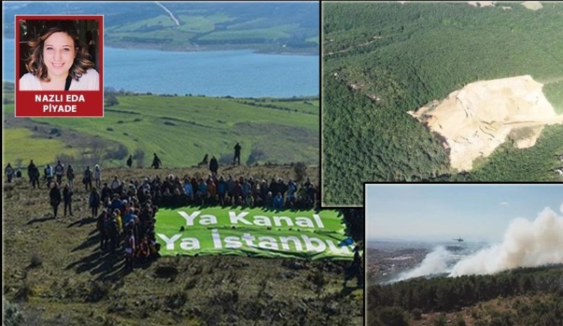 Üç aylık rapor hazırlandı: Kuzey Ormanları'nın yangın ve maden ocaklarıyla tahribi gözler önüne serildi