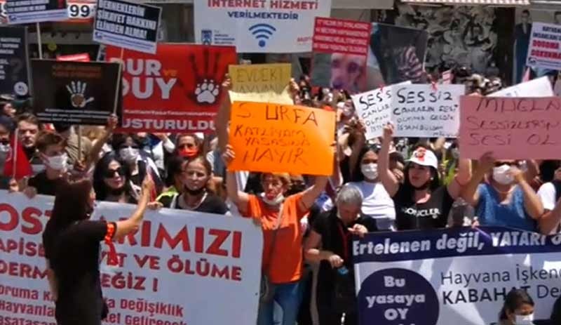 Hayvanseverlerden Erdoğan'a 'veto' çağrısı